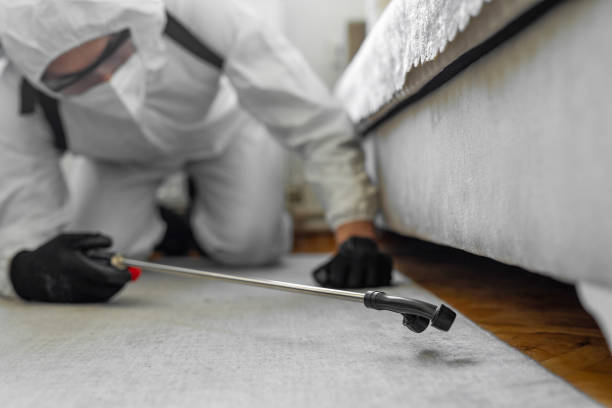 Professional Bed Bug Control technician working in Palatine, IL
